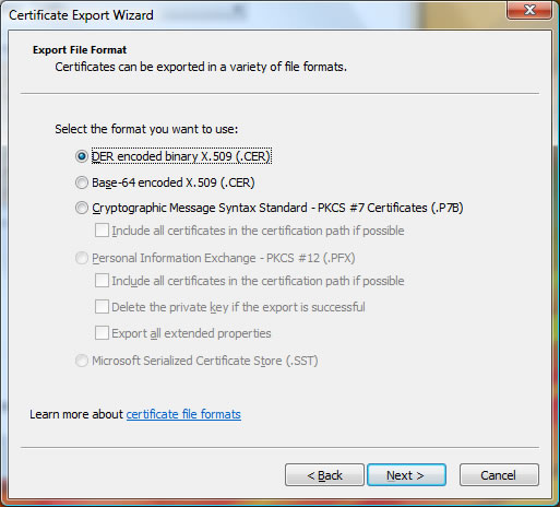 The Export File Format screen of the Certificate Export Wizard showing DER Encoded Binary X.509 selected